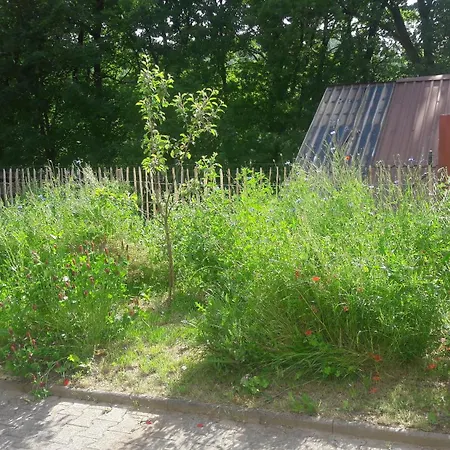 公寓 Ullrich Im Spessart