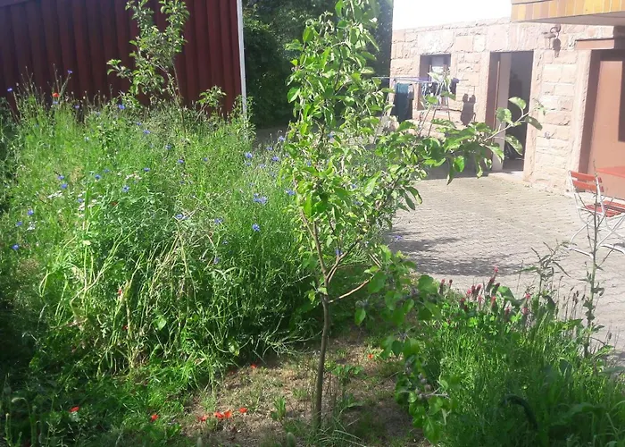 Ullrich Im Spessart *