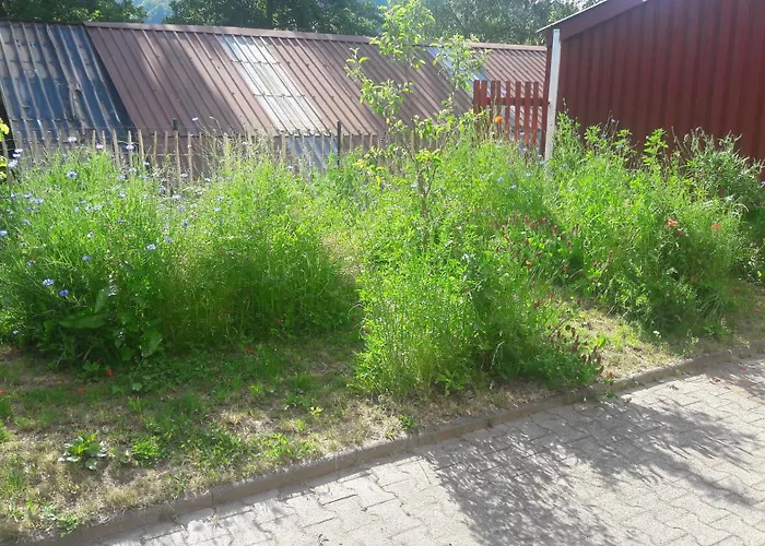 Lägenhet Ullrich Im Spessart *