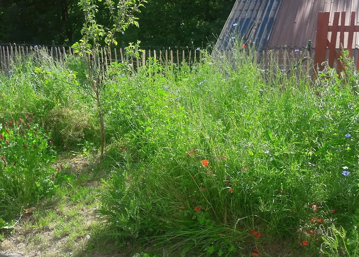 Ullrich Im Spessart *