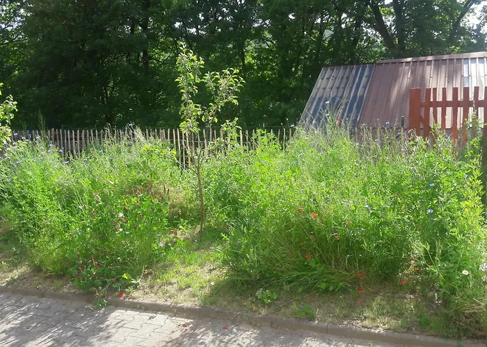 Lägenhet Ullrich Im Spessart